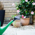 Learn effective watering techniques for your plants with this comprehensive guide. Discover tips to keep your plants healthy and thriving through proper hydration.