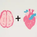 Unlock practical tips for enhancing memory as you age. Learn effective strategies to maintain cognitive function and preserve mental acuity in your golden years